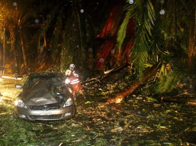 The car was damaged by a falling tree uprooted during a landslip in Bukit Gasing. - The Star